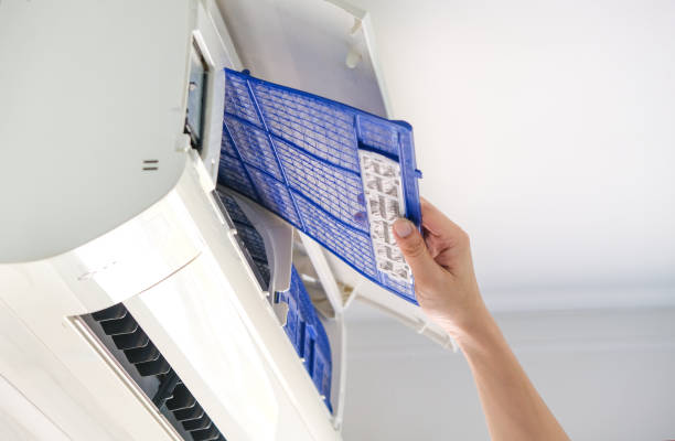 Best Affordable Duct Cleaning Services  in Royal Palm Beach, FL